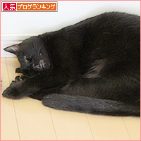 夢の競演_a0389088_18234219.jpg