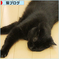 夢の競演_a0389088_18234225.jpg