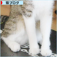 痩せなくていいカラダ_a0389088_18234256.jpg