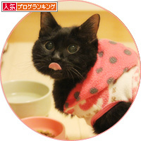 思い出のはざまで_a0389088_18234714.jpg