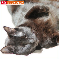 ビーの思い出_a0389088_18234742.jpg