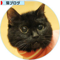 思い出のはざまで_a0389088_18234768.jpg