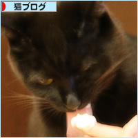 ビーの思い出_a0389088_18234774.jpg