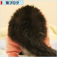 みつきの思い出_a0389088_18234838.jpg