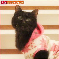 みつきの思い出_a0389088_18234892.jpg