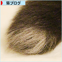 もしゃの思い出_a0389088_18234936.jpg