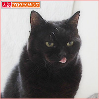 もしゃの思い出_a0389088_18234963.jpg
