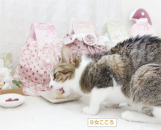 お盆はホタテ祭り!_a0389088_18235052.jpg