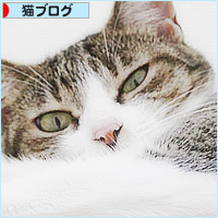 そこはNG!_a0389088_18235288.jpg