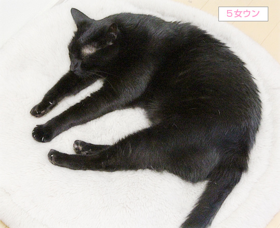 秋物先取り!_a0389088_18235545.jpg