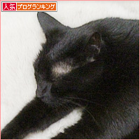 秋物先取り!_a0389088_18235580.jpg