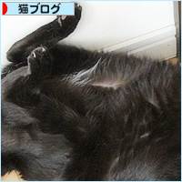 猫の寝相_a0389088_18235592.jpg