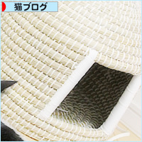 秋物先取り!_a0389088_18235595.jpg