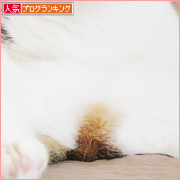 おっさんにできること_a0389088_18235704.jpg