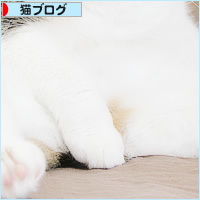 おっさんにできること_a0389088_18235728.jpg