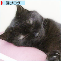 新しい巣_a0389088_18235826.jpg