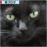 廊下カフェ、プレオープン_a0389088_18235897.jpg