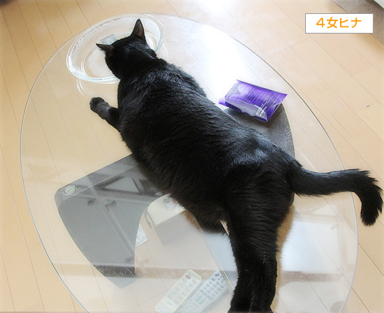 お嬢様のテーブルマナー_a0389088_18240084.jpg