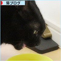 新兵器・・・のはずが_a0389088_18240173.jpg
