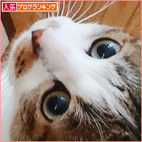 お江戸便り_a0389088_18240248.jpg