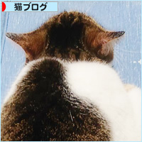 お江戸便り_a0389088_18240280.jpg