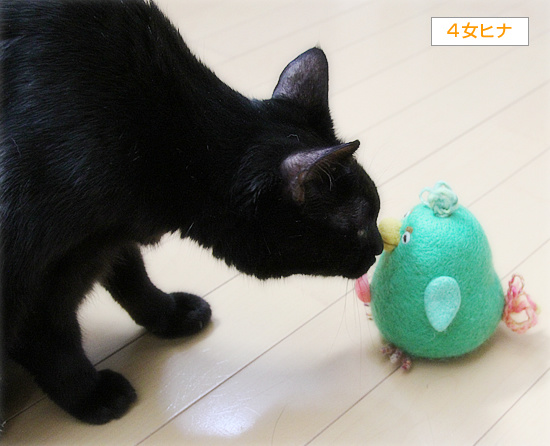ぶりどり誕生!_a0389088_18240342.jpg