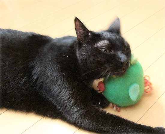 ぶりどり誕生!_a0389088_18240392.jpg