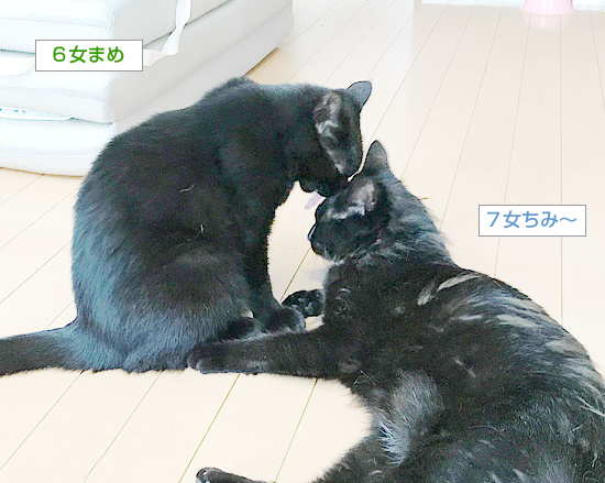 あまえ上手_a0389088_18240445.jpg