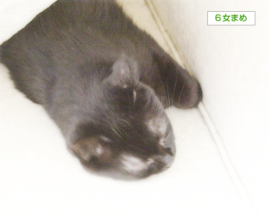 あまえ上手_a0389088_18240532.jpg