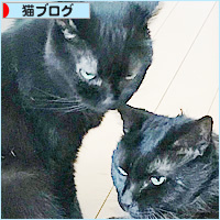 あまえ上手_a0389088_18240554.jpg
