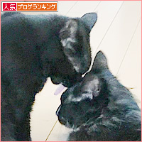 あまえ上手_a0389088_18240589.jpg