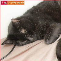 ビーの子_a0389088_18240602.jpg