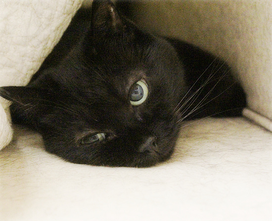 秋の居場所_a0389088_18240610.jpg
