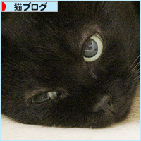 秋の居場所_a0389088_18240611.jpg