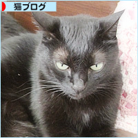 ビーの子_a0389088_18240665.jpg