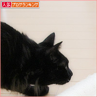 キャットタワー、キター!_a0389088_18240769.jpg