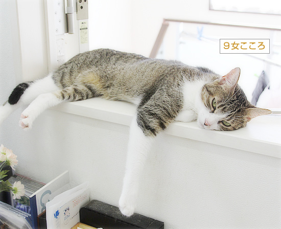 平成生まれ_a0389088_18240868.jpg