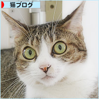 平成生まれ_a0389088_18240933.jpg