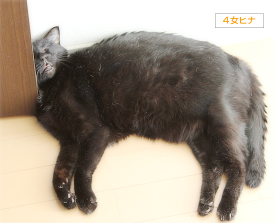 しあわせな寝相_a0389088_18241672.jpg