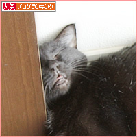 しあわせな寝相_a0389088_18241744.jpg
