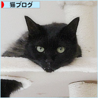 しあわせな寝相_a0389088_18241796.jpg