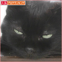 猫のパトロール_a0389088_18242319.jpg