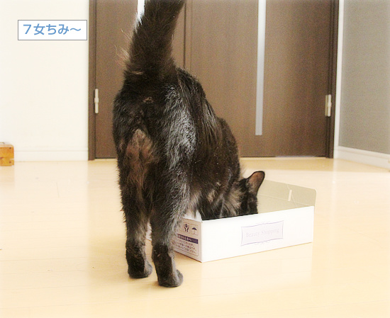おしい!_a0389088_18242550.jpg