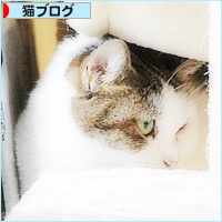 おしい!_a0389088_18242559.jpg