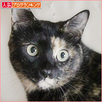 動物愛護団体さんに潜入!_a0389088_18242748.jpg