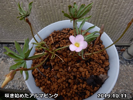 e0033229_1734450.jpg