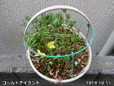 花の天敵は_e0033229_1819293.jpg