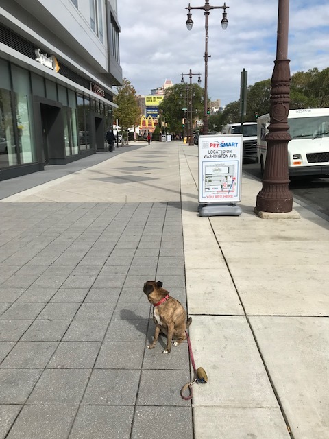 d0269832_19415642.jpeg