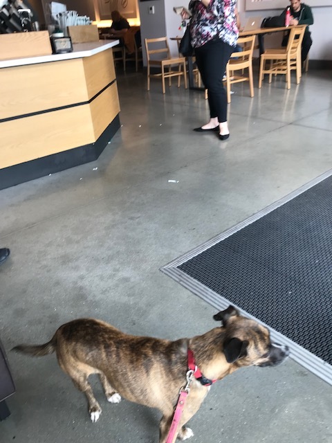 d0269832_19424068.jpeg