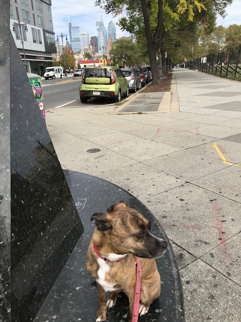 d0269832_20240070.jpeg